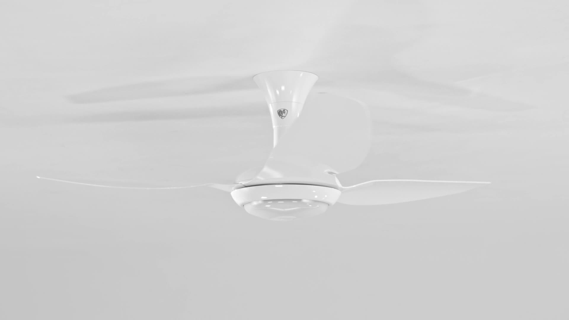 highlight video Haiku Ceiling fan flush mount all white